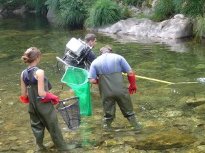 FOTO_Fish surveys (Paulo Pinheiro)